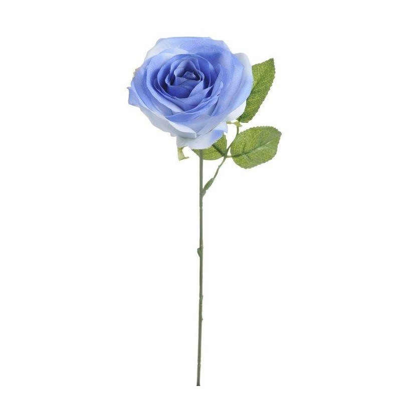 Róża pojedyncza 30 cm