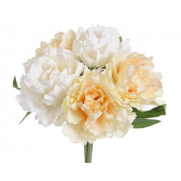Bukiet piwonii x 5 25 cm
