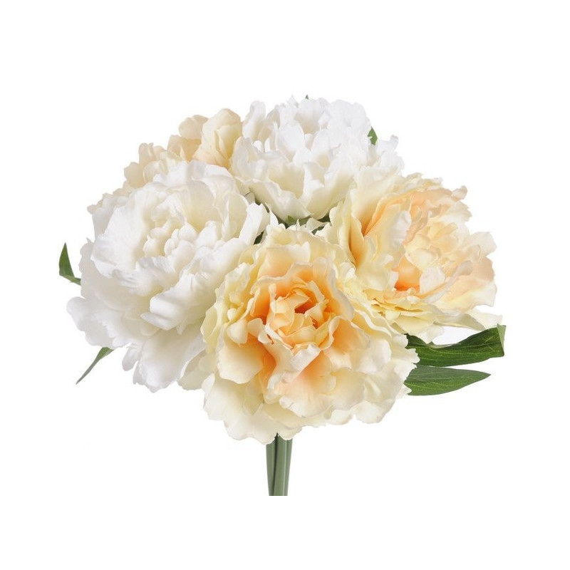 Bukiet piwonii x 5 25 cm
