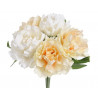 Bukiet piwonii x 5 25 cm