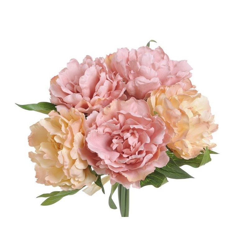 Bukiet piwonii x 5 25 cm