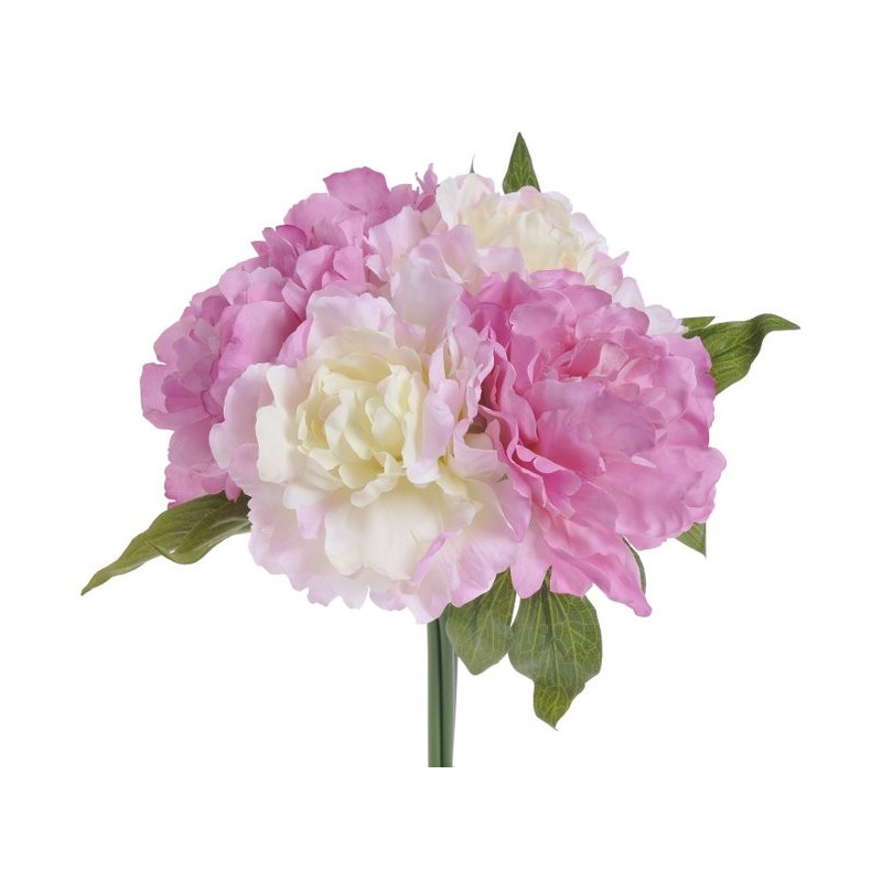 Bukiet piwonii x 5 25 cm