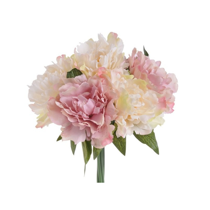 Bukiet piwonii x 5 25 cm
