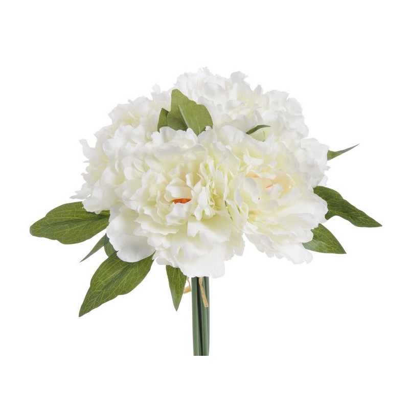 Bukiet piwonii x 5 25 cm