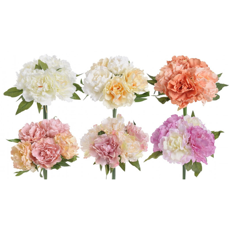 Bukiet piwonii x 5 25 cm