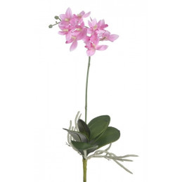 Mini storczyk z lisciem 35 cm