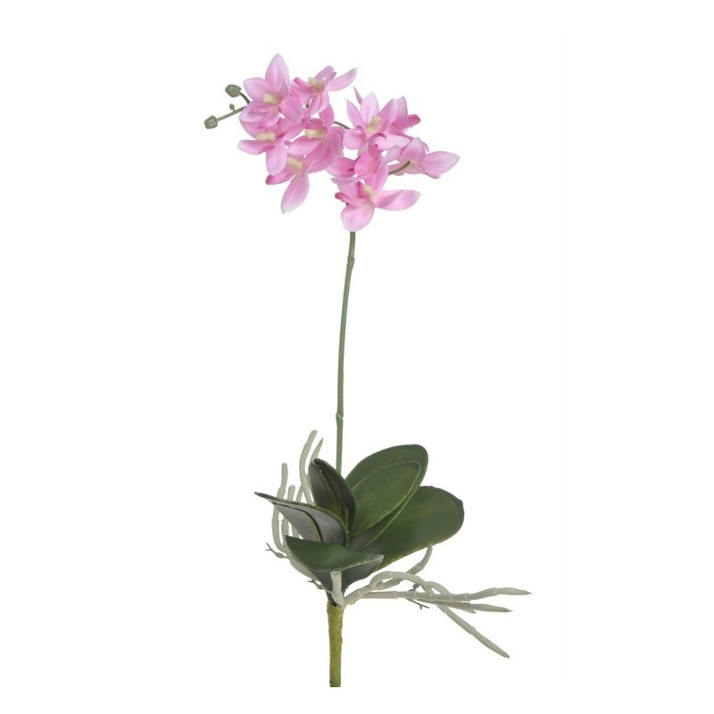 Mini storczyk z lisciem 35 cm