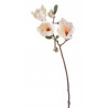 Gałązka magnolii 60 cm