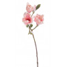 Gałązka magnolii 60 cm