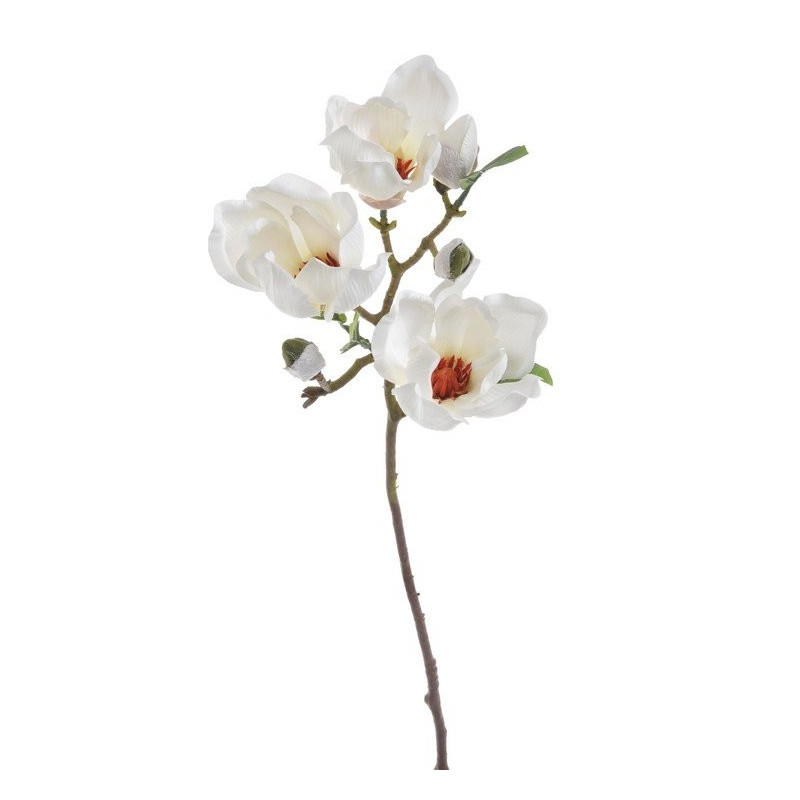Gałązka magnolii 60 cm