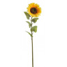 Słonecznik 140 cm