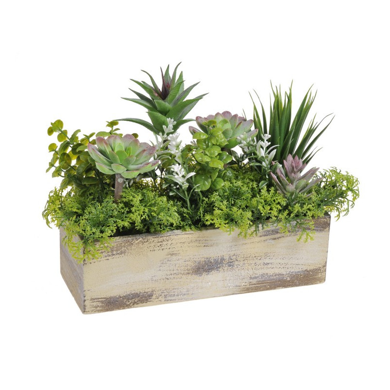 Skalniak w donicy kropla zieleni