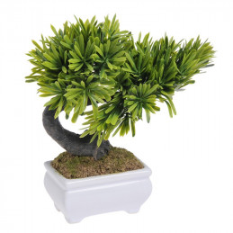 Bonsai małe - 25 cm