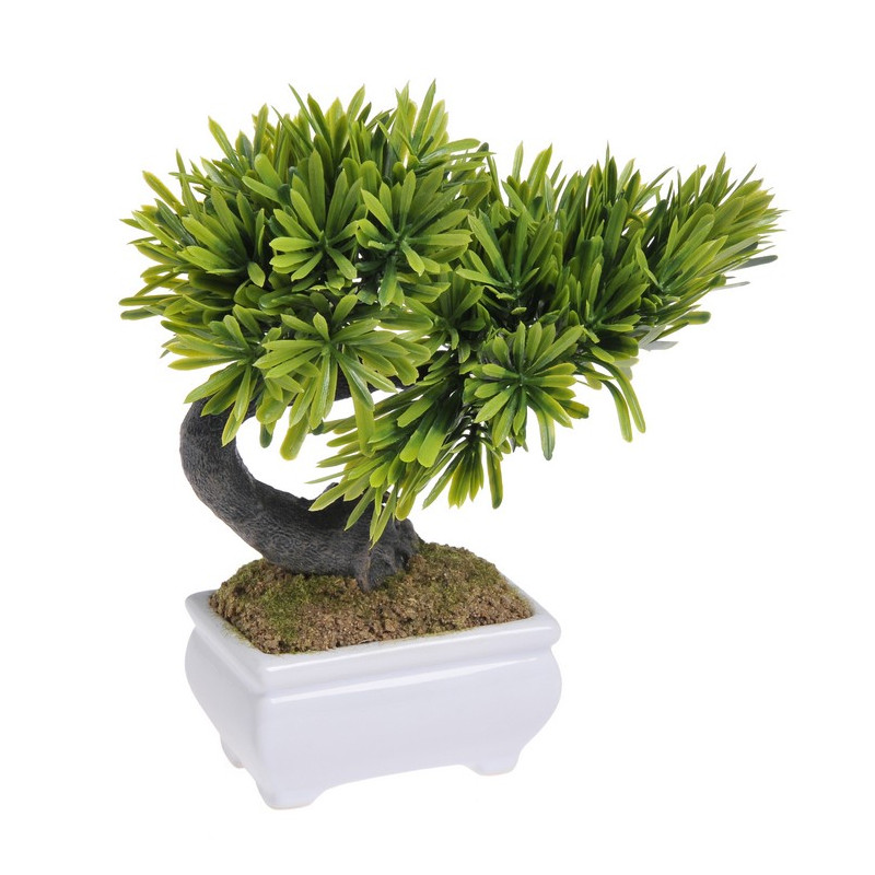 Bonsai małe - 25 cm