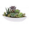 Sukulenty w doniczce, miks B L26 cm
