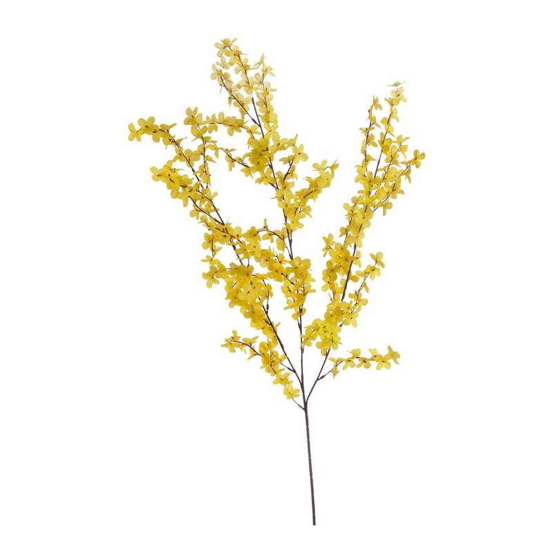 Forsycja x 38, 98 cm