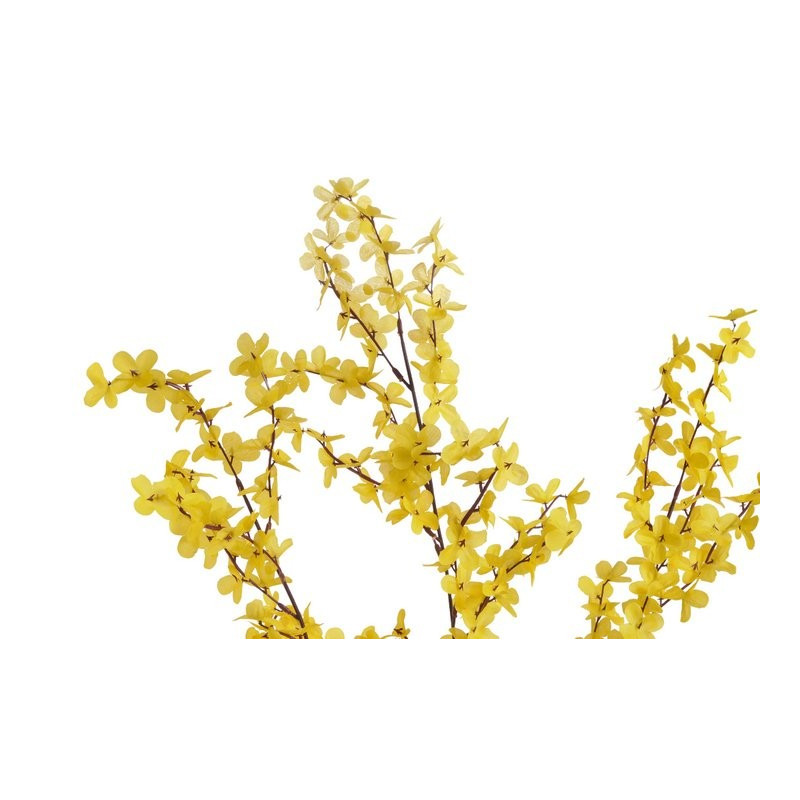 Forsycja x 38, 98 cm