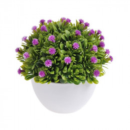 Kwiatuszki w dużej doniczce - 12 cm