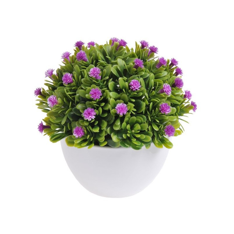 Kwiatuszki w dużej doniczce - 12 cm