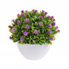 Kwiatuszki w dużej doniczce - 12 cm