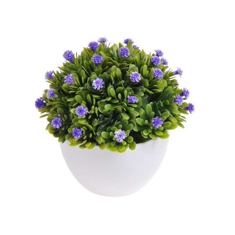 Kwiatuszki w dużej doniczce - 12 cm