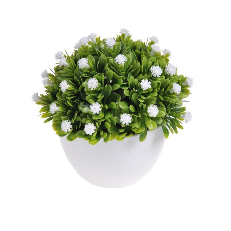 Kwiatuszki w dużej doniczce - 12 cm