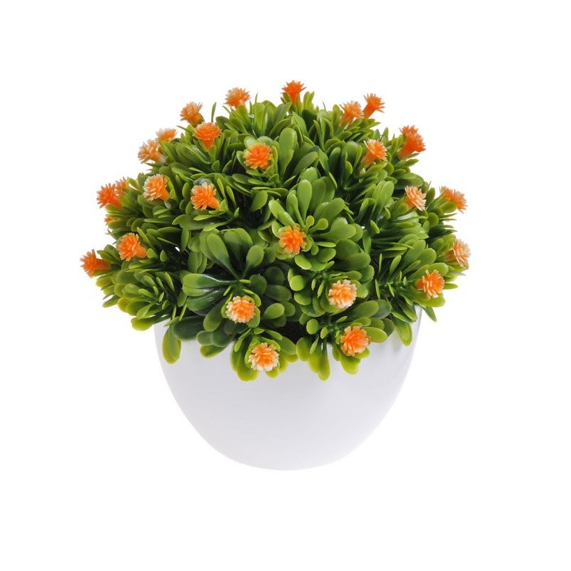 Kwiatuszki w dużej doniczce - 12 cm