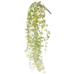 Roślina zwisająca 85 cm