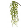 Roślina zwisająca 85 cm