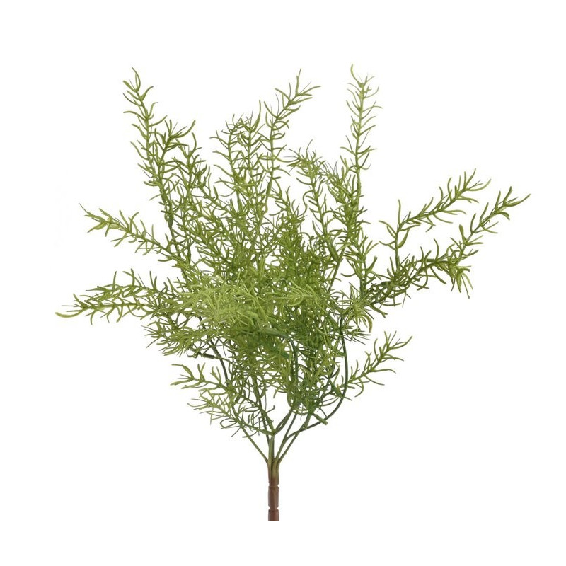 Asparagus x7 43 cm