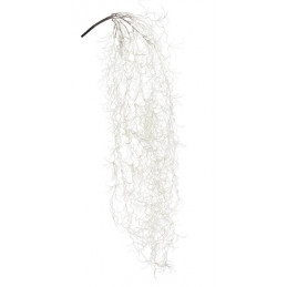 Tilancja zwisająca 104 cm