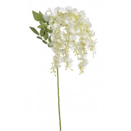 Storczyk płaczący 85 cm