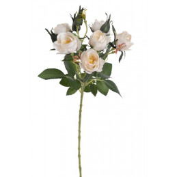 Gałązka róż 6+4 liść wiosna, 54 cm