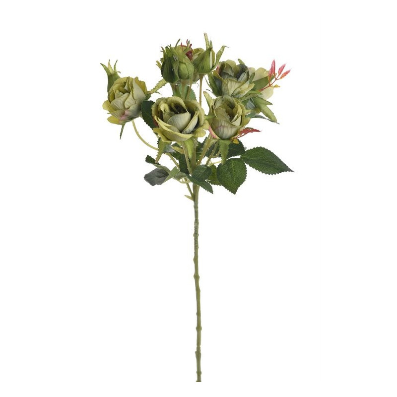 Gałązka róż 6+4 liść wiosna, 54 cm