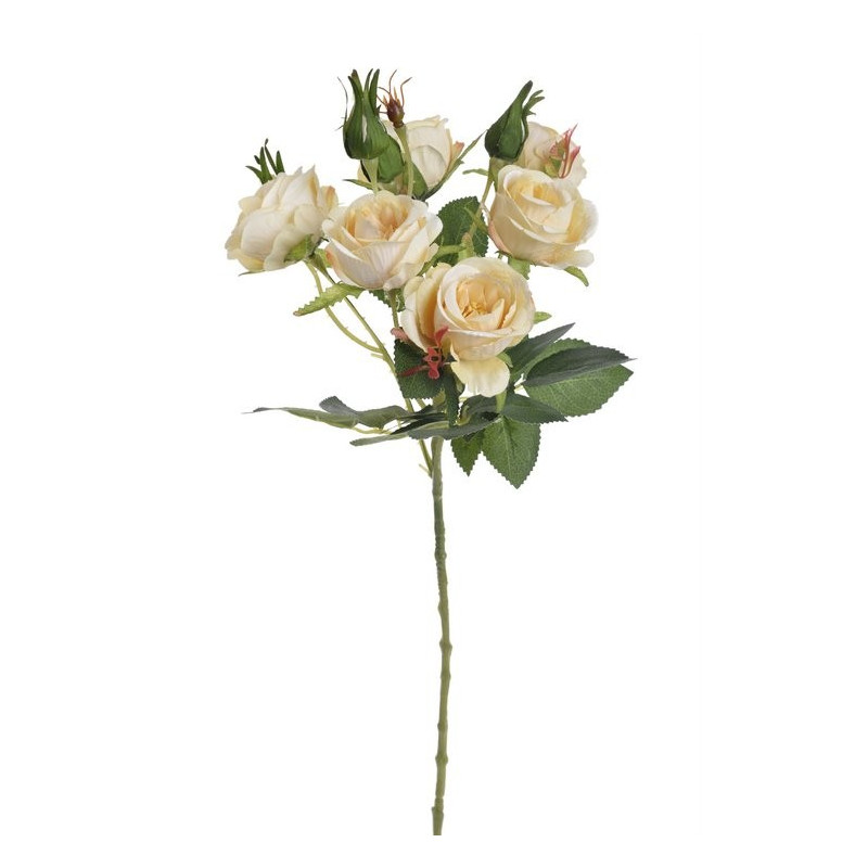 Gałązka róż 6+4 liść wiosna, 54 cm