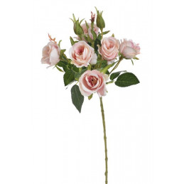 Gałązka róż 6+4 liść wiosna, 54 cm