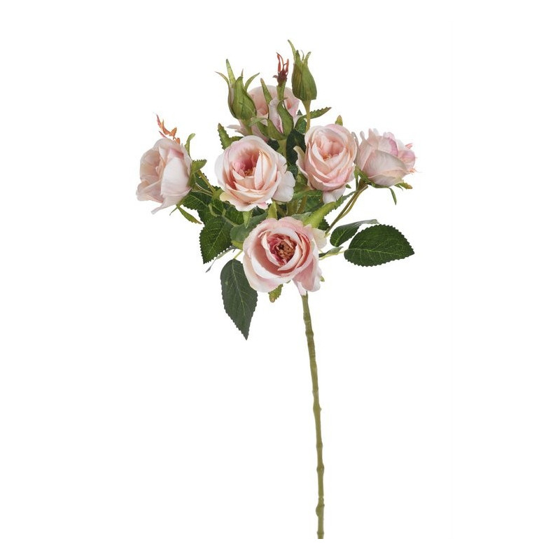 Gałązka róż 6+4 liść wiosna, 54 cm