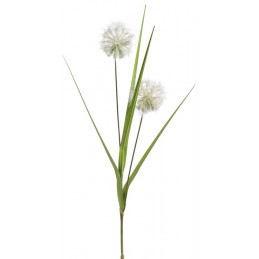 Dmuchawiec olbrzymi 125 cm