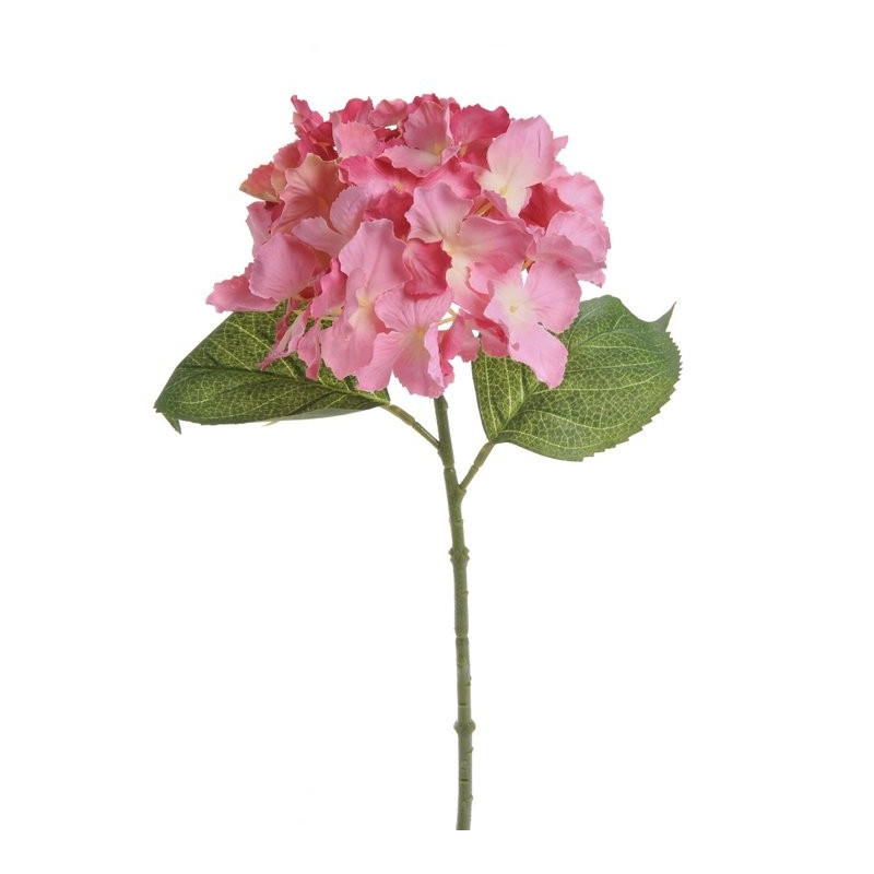 Hortensja mała 36 cm