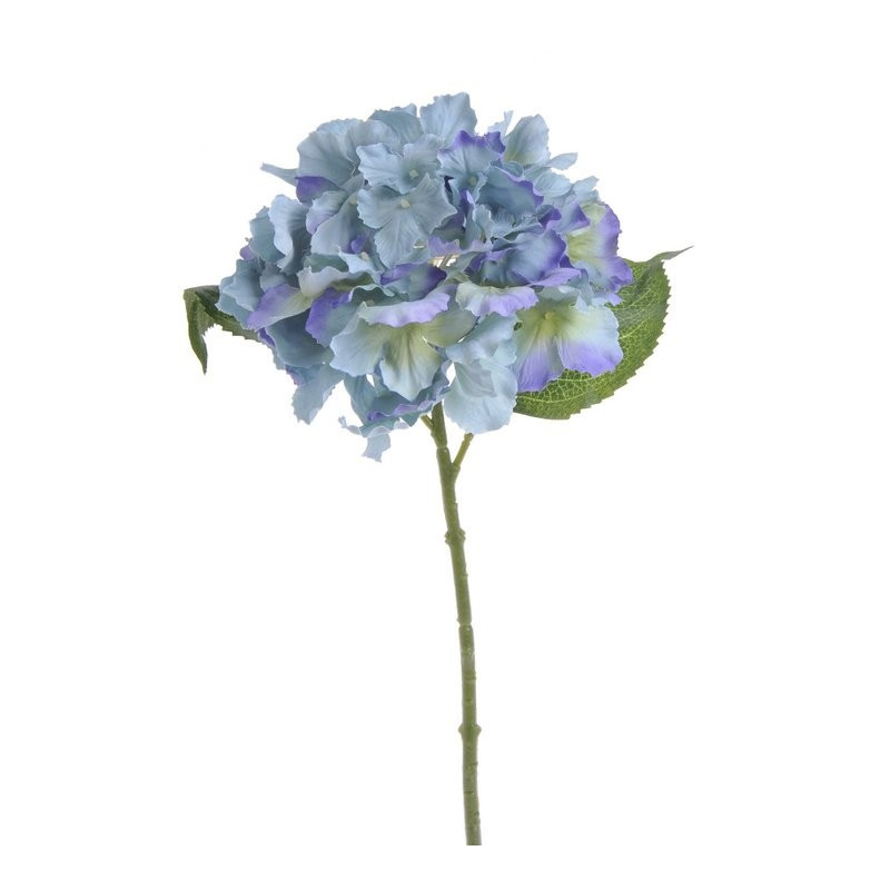 Hortensja mała 36 cm