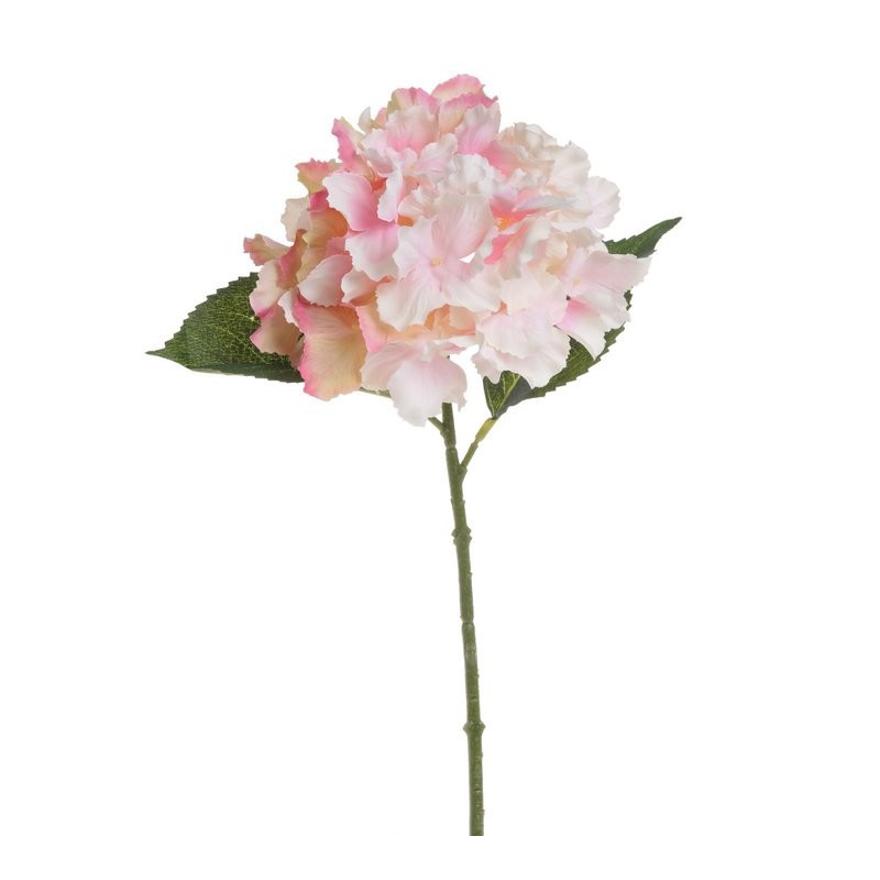 Hortensja mała 36 cm