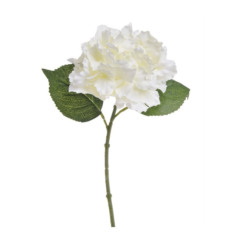 Hortensja mała 36 cm