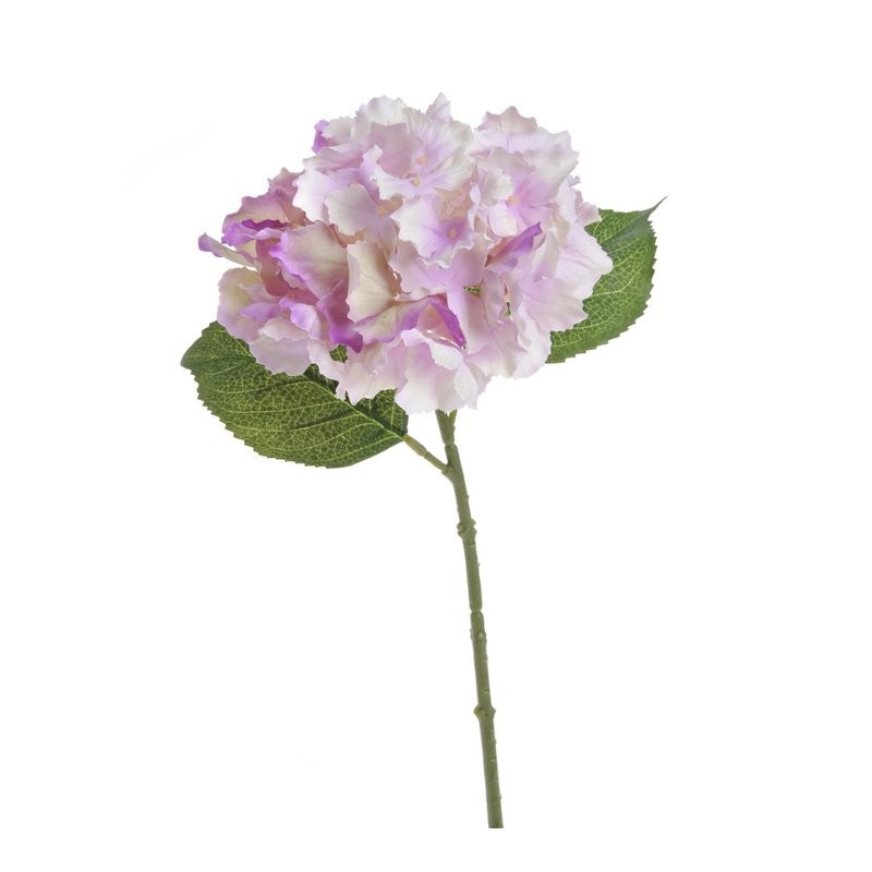 Hortensja mała 36 cm