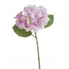 Hortensja mała 36 cm