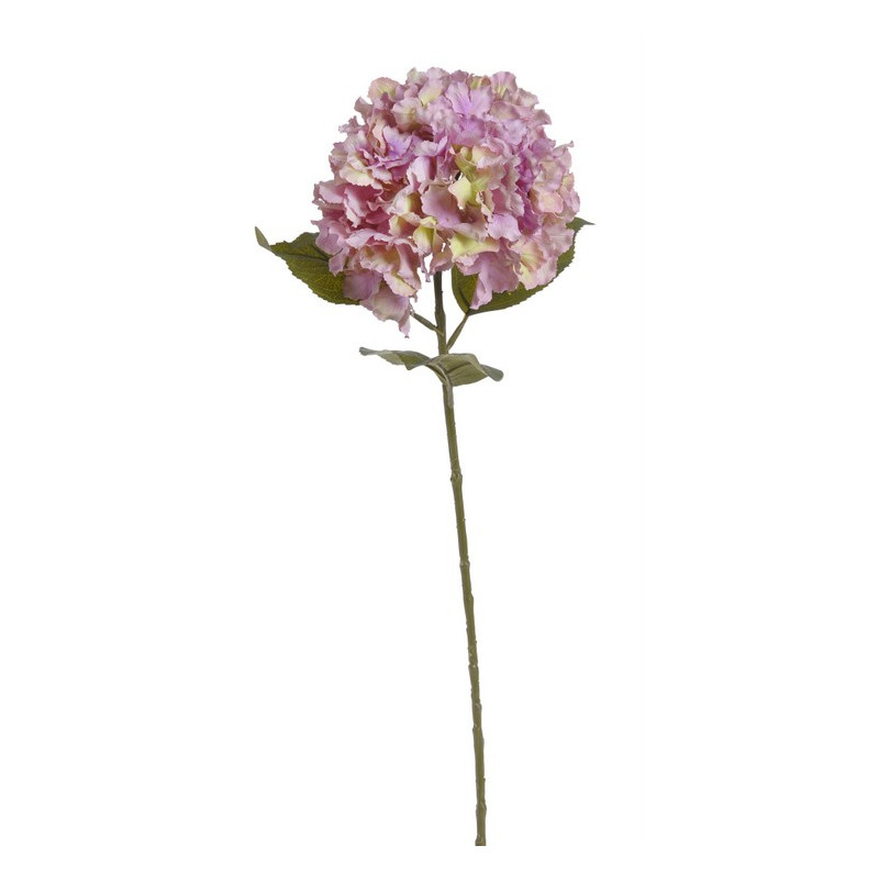 Hortensja duża x1,  H85 cm