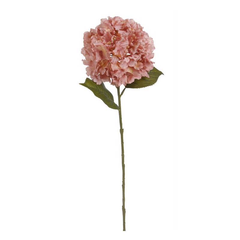 Hortensja duża x1,  H85 cm