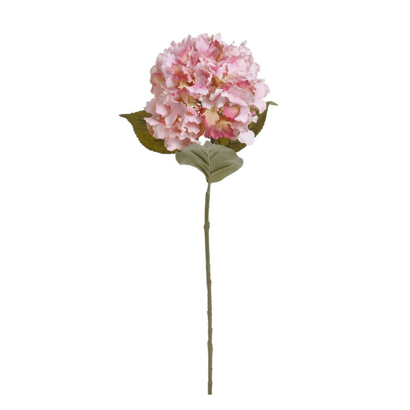 Hortensja duża x1,  H85 cm