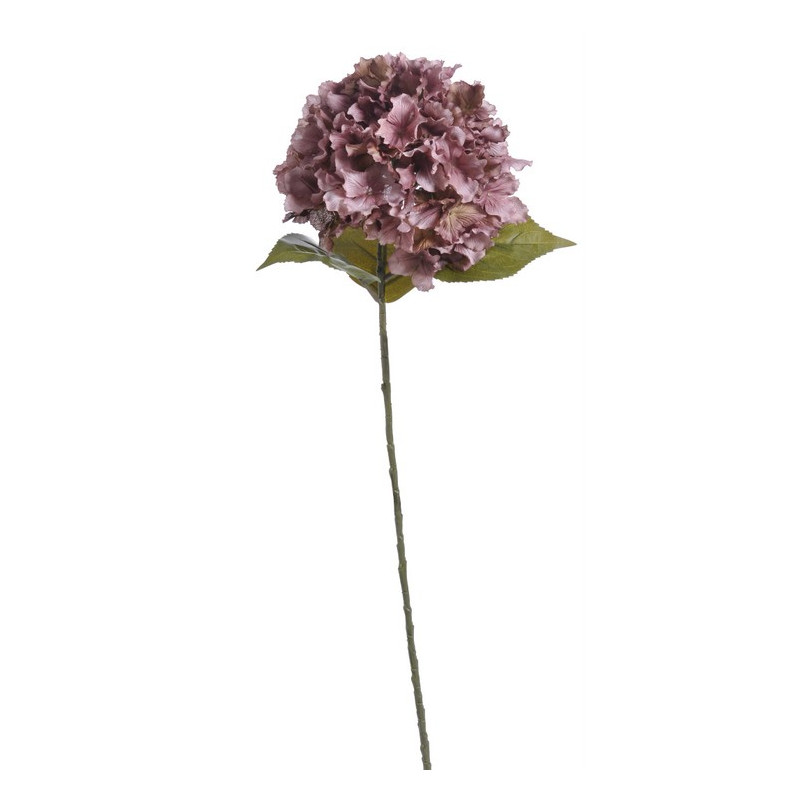 Hortensja duża x1,  H85 cm