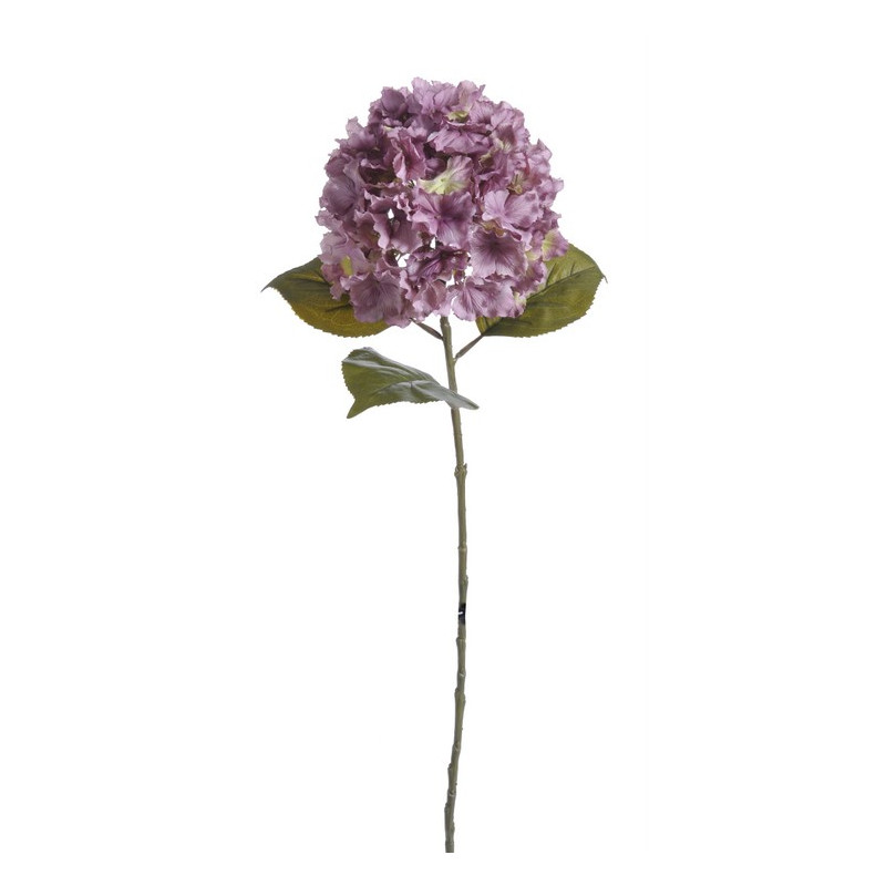 Hortensja duża x1,  H85 cm