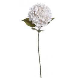 Hortensja duża x1,  H85 cm